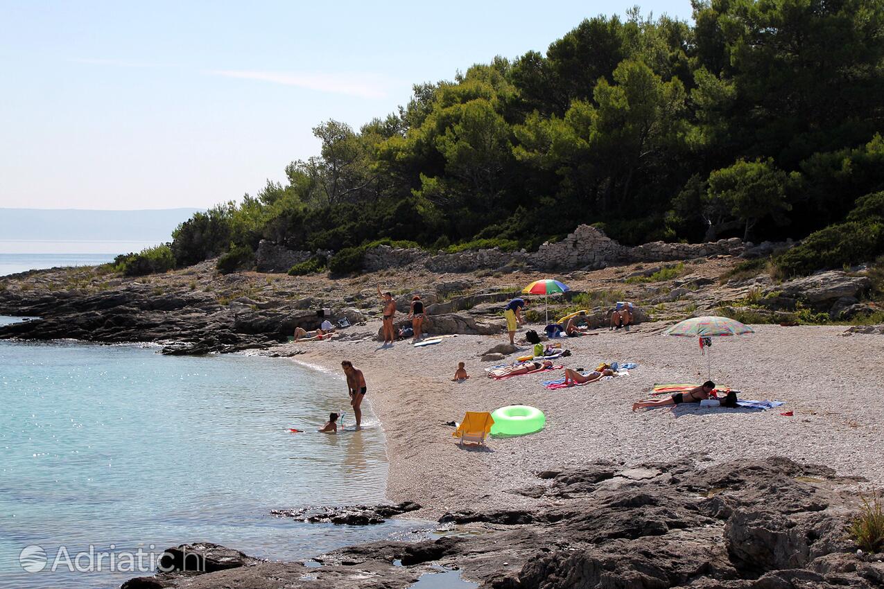 Adriatic.hr