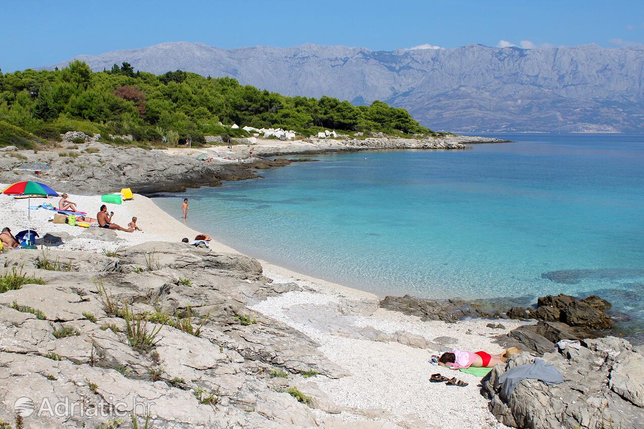 Adriatic.hr