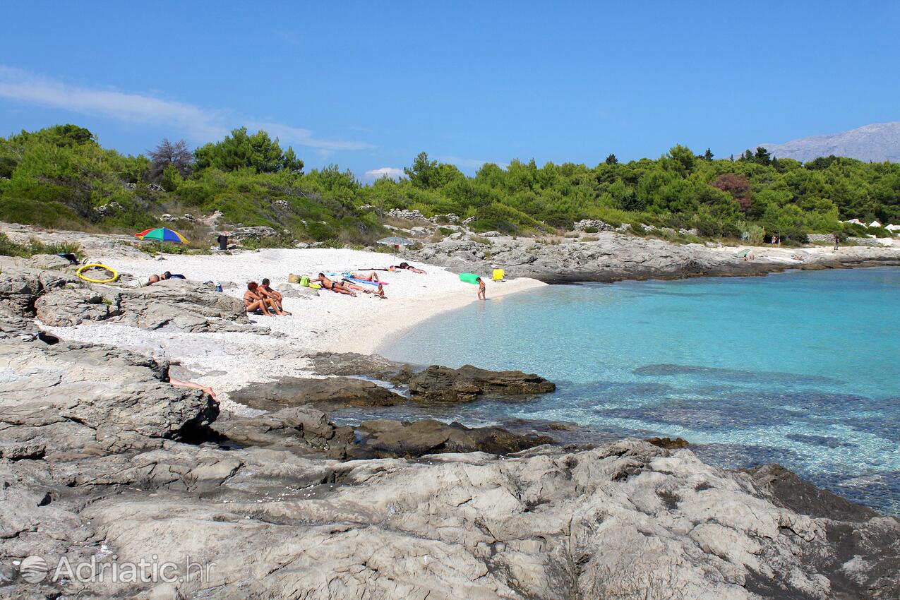 Adriatic.hr