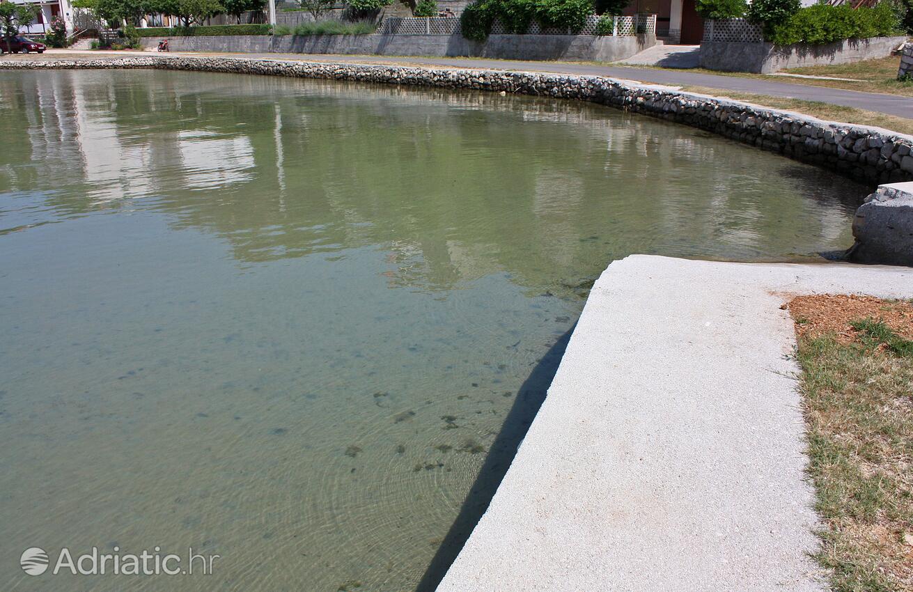 La spiaggia più vicina - Appartamenti accanto al mare per famiglie Valle San Pietro - Bassa - Supetarska Draga - Donja, Arbe - Rab
