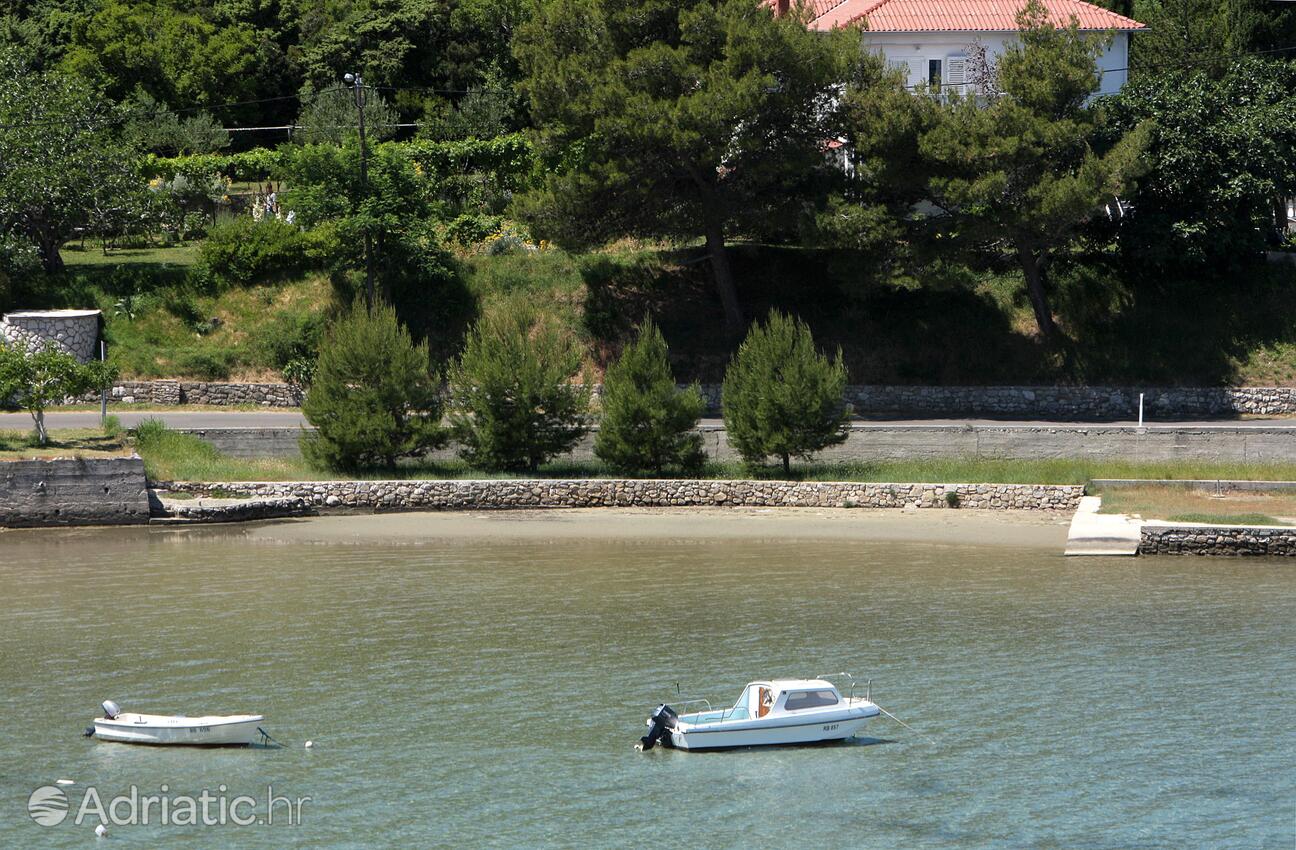 La spiaggia più vicina - Appartamenti accanto al mare per famiglie Valle San Pietro - Bassa - Supetarska Draga - Donja, Arbe - Rab
