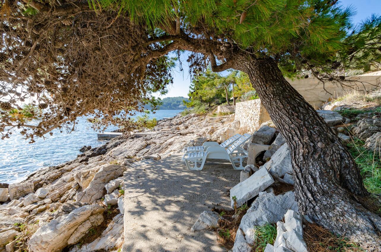 La spiaggia più vicina - Casa vacanze accanto al mare Karbuni, Curzola - Korčula