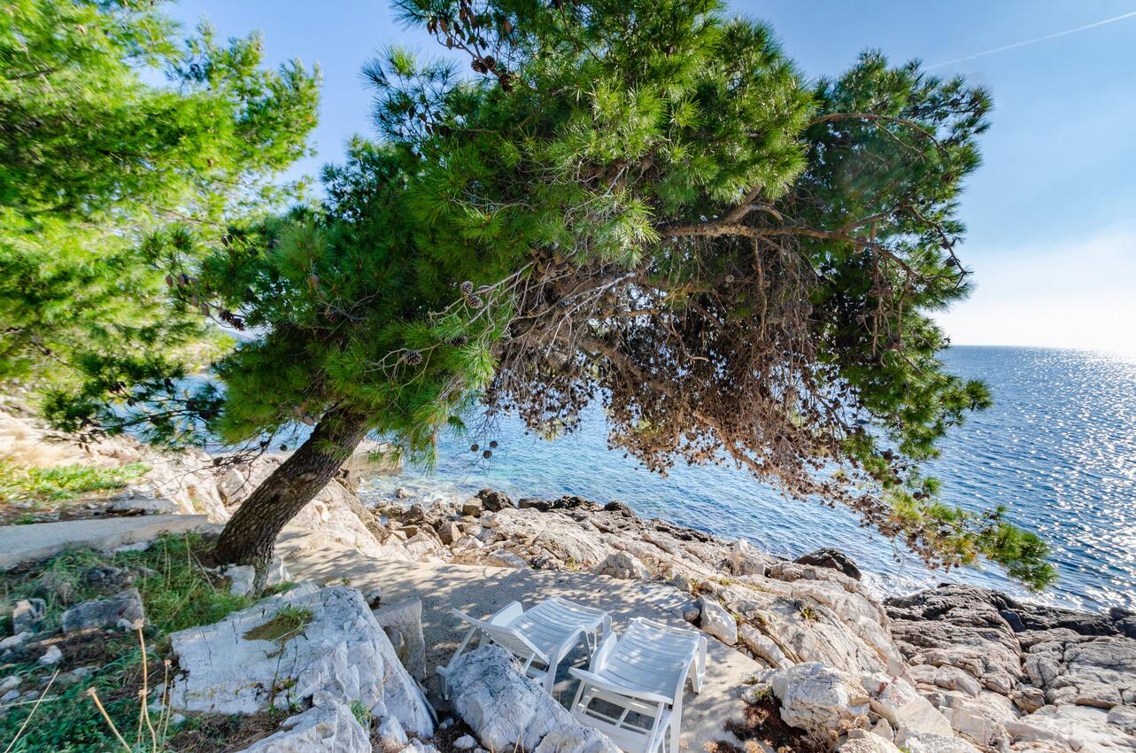 La spiaggia più vicina - Casa vacanze accanto al mare Karbuni, Curzola - Korčula
