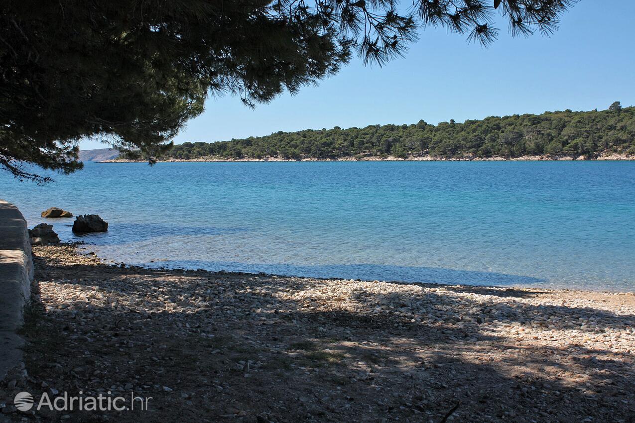 La spiaggia più vicina - Appartamenti accanto al mare Palit, Arbe - Rab