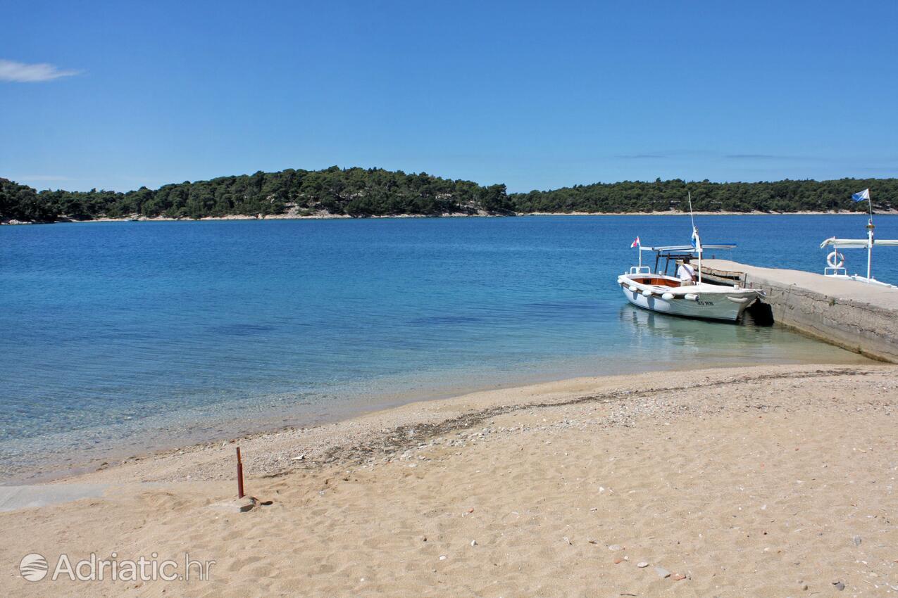 La spiaggia più vicina - Appartamenti accanto al mare Palit, Arbe - Rab
