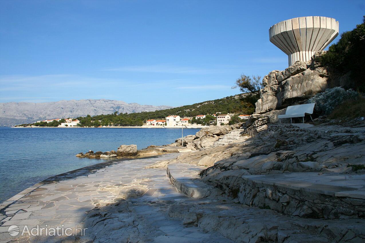 Nearest beach - Apartments by the sea Povlja, Brač