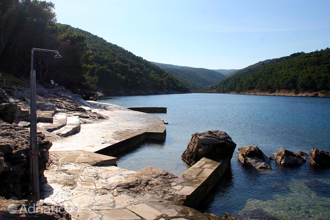 Nearest beach - Apartments by the sea Povlja, Brač