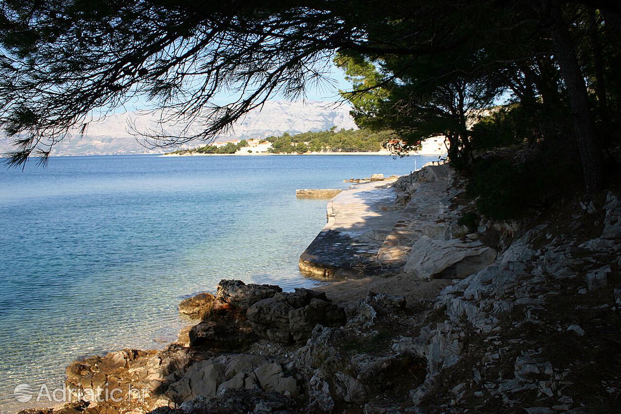 Nearest beach - Apartments by the sea Povlja, Brač