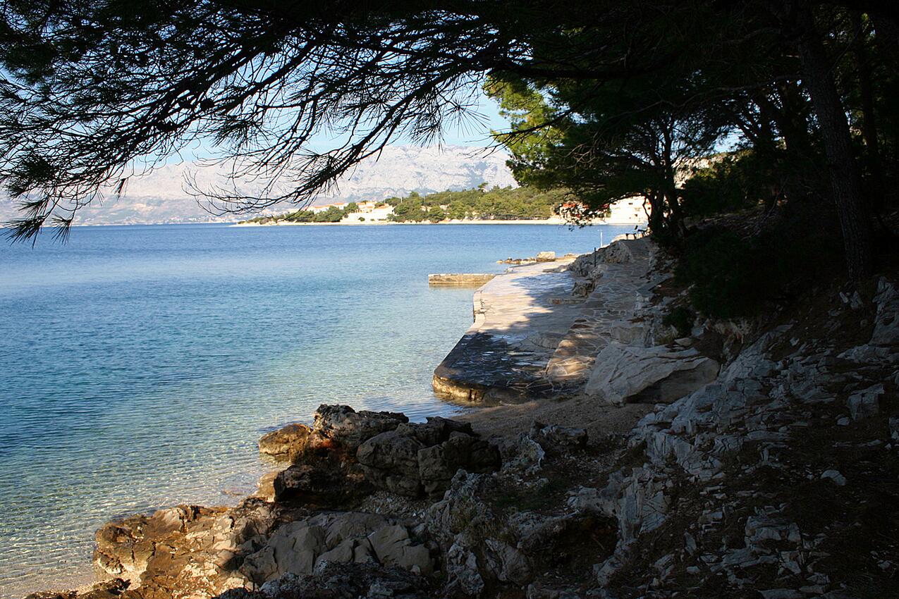 Nearest beach - Apartments by the sea Povlja, Brač