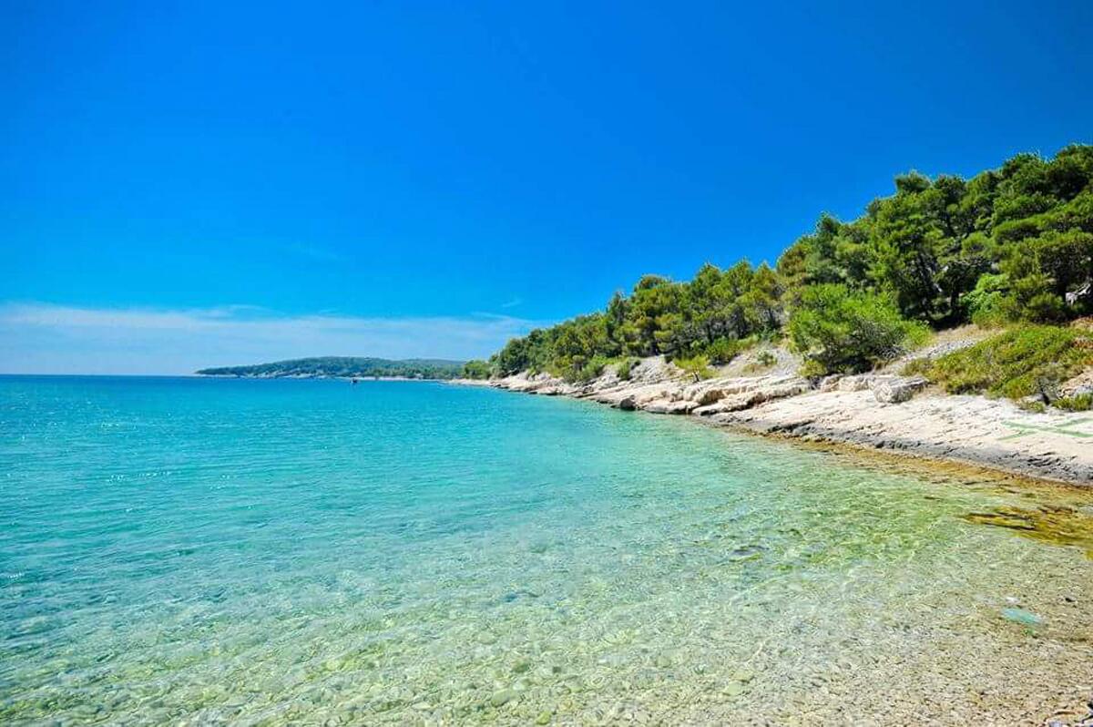 Nearest beach - Family friendly house with a swimming pool Cove Koramaslinova - Koromaslinova, Brač