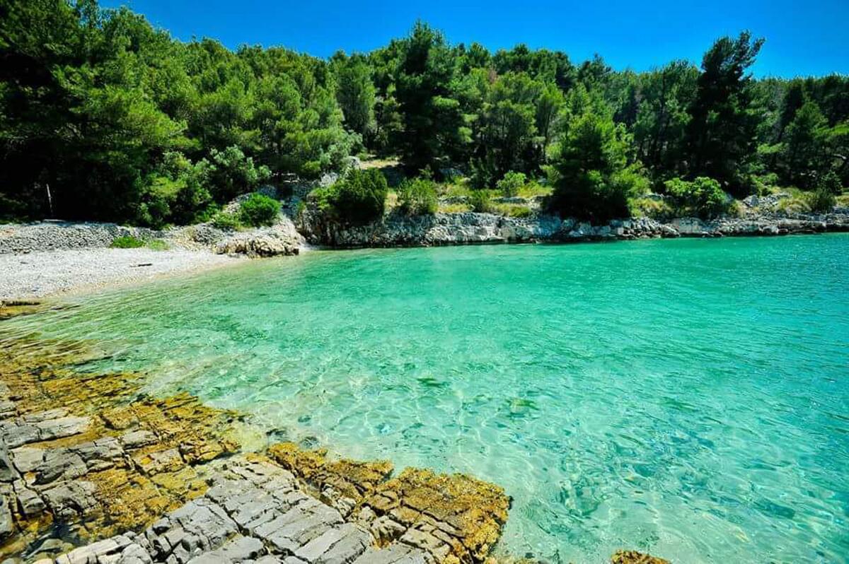 Nearest beach - Family friendly house with a swimming pool Cove Koramaslinova - Koromaslinova, Brač