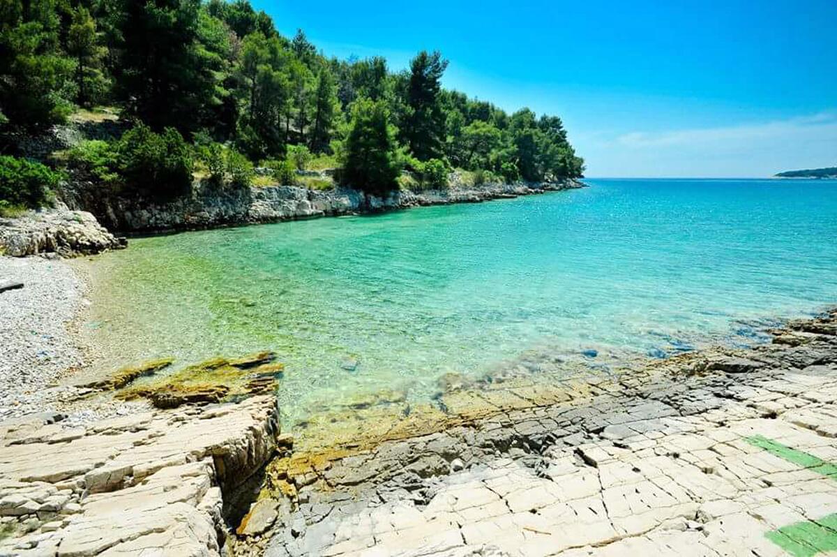Nearest beach - Family friendly house with a swimming pool Cove Koramaslinova - Koromaslinova, Brač