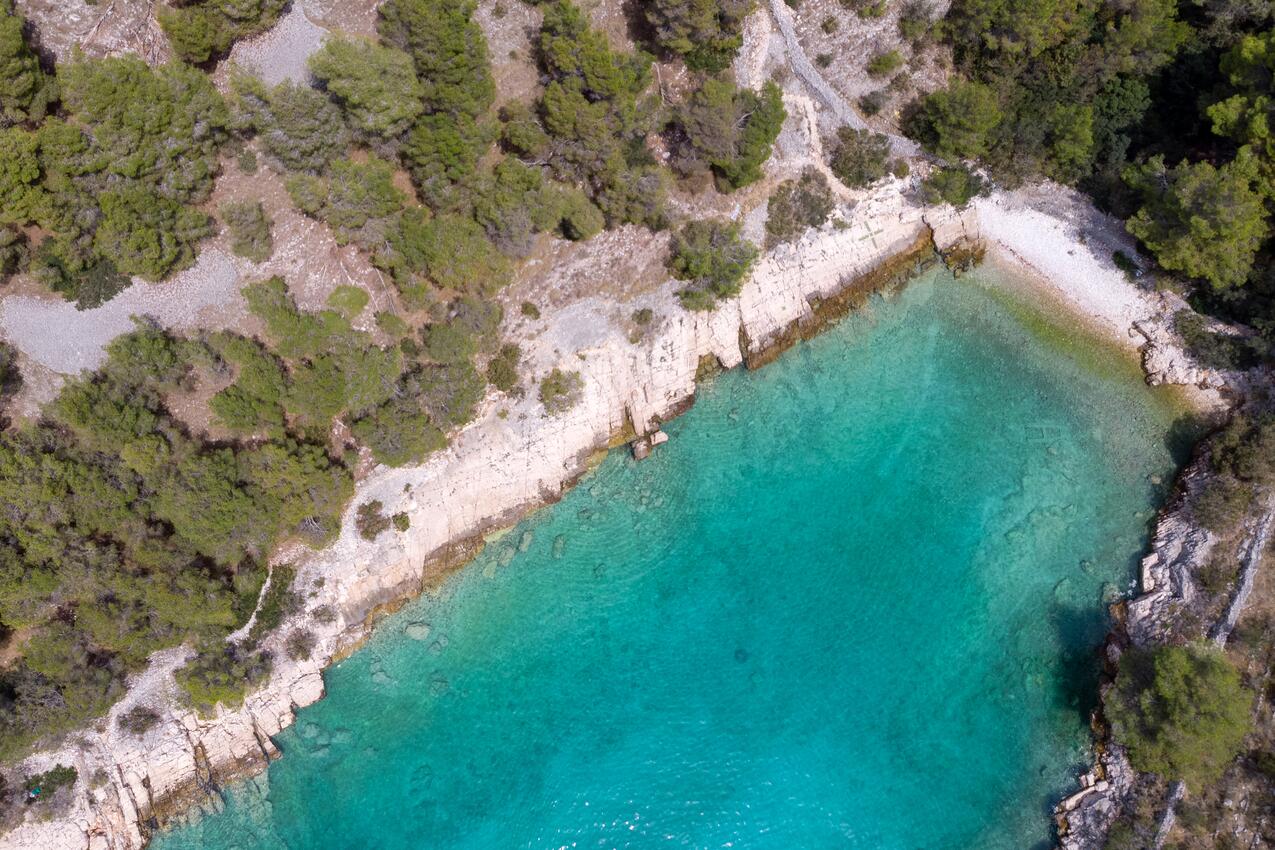 Nearest beach - Family friendly house with a swimming pool Cove Koramaslinova - Koromaslinova, Brač