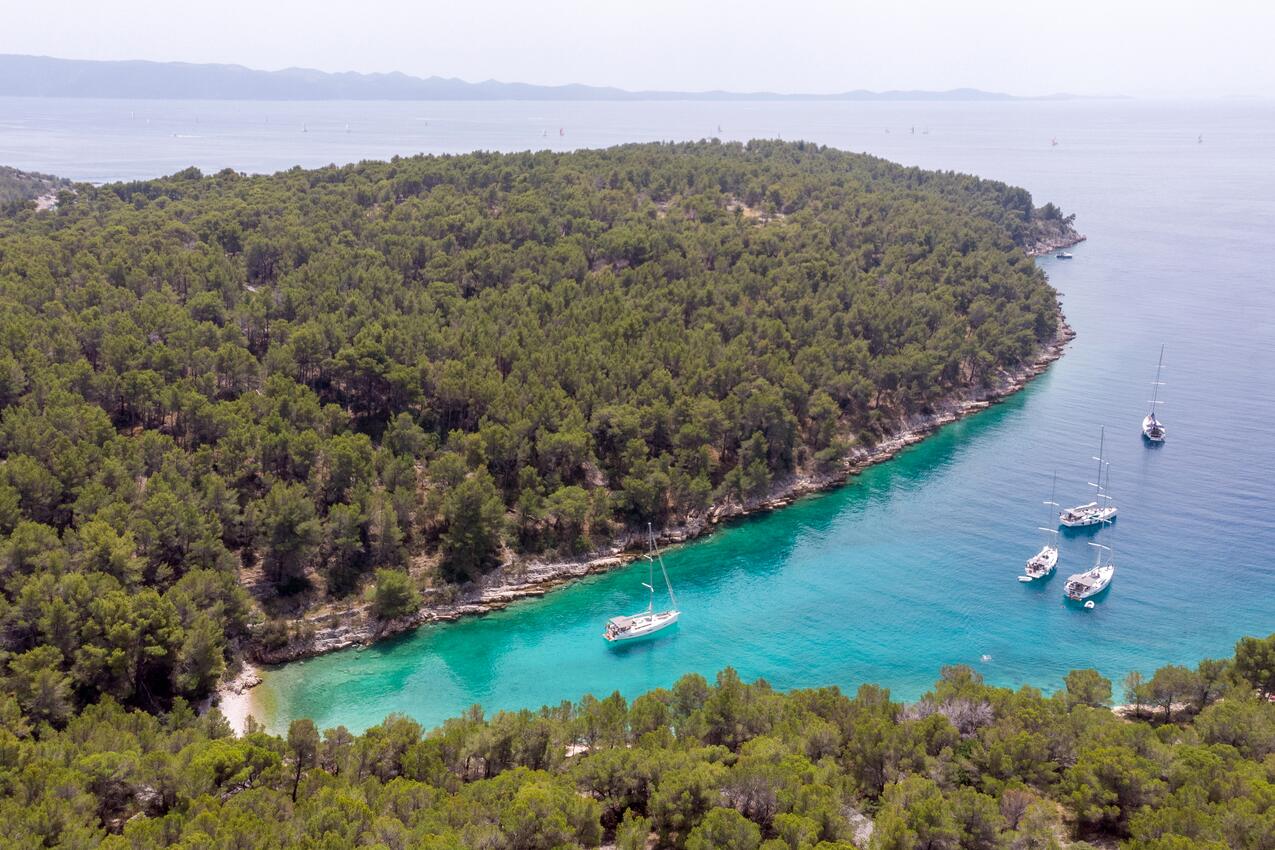 Nearest beach - Family friendly house with a swimming pool Cove Koramaslinova - Koromaslinova, Brač