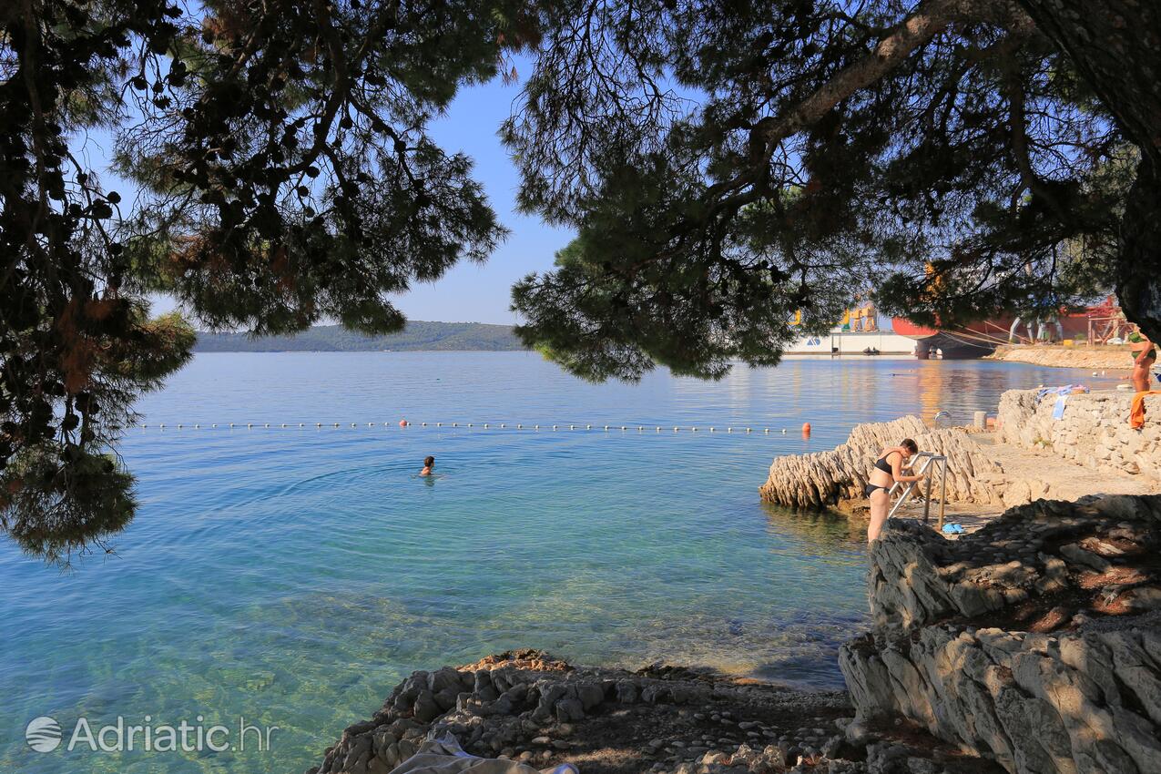 Adriatic.hr