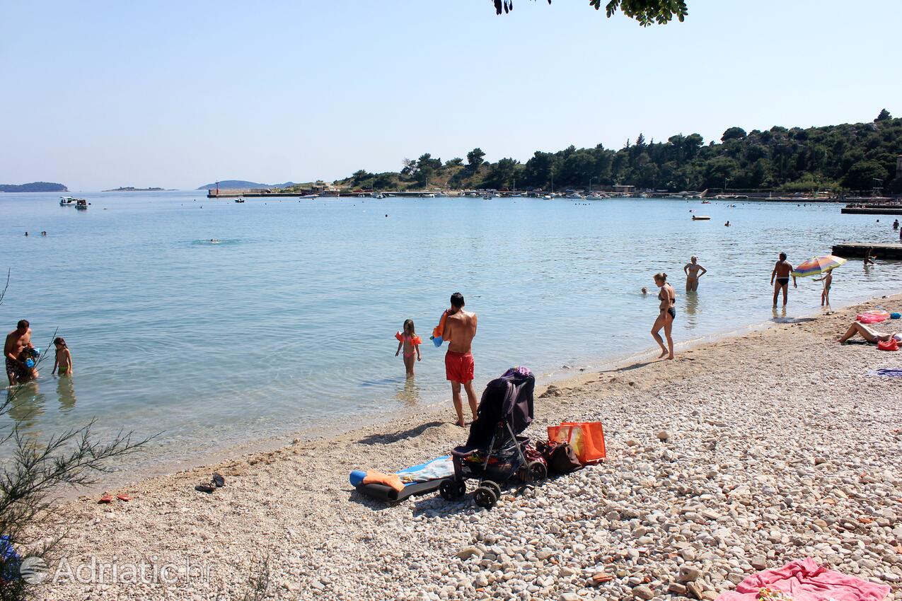 Adriatic.hr