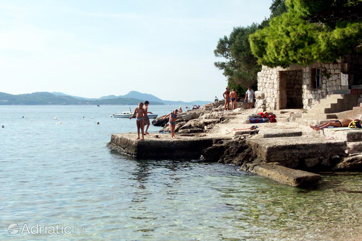 Adriatic.hr