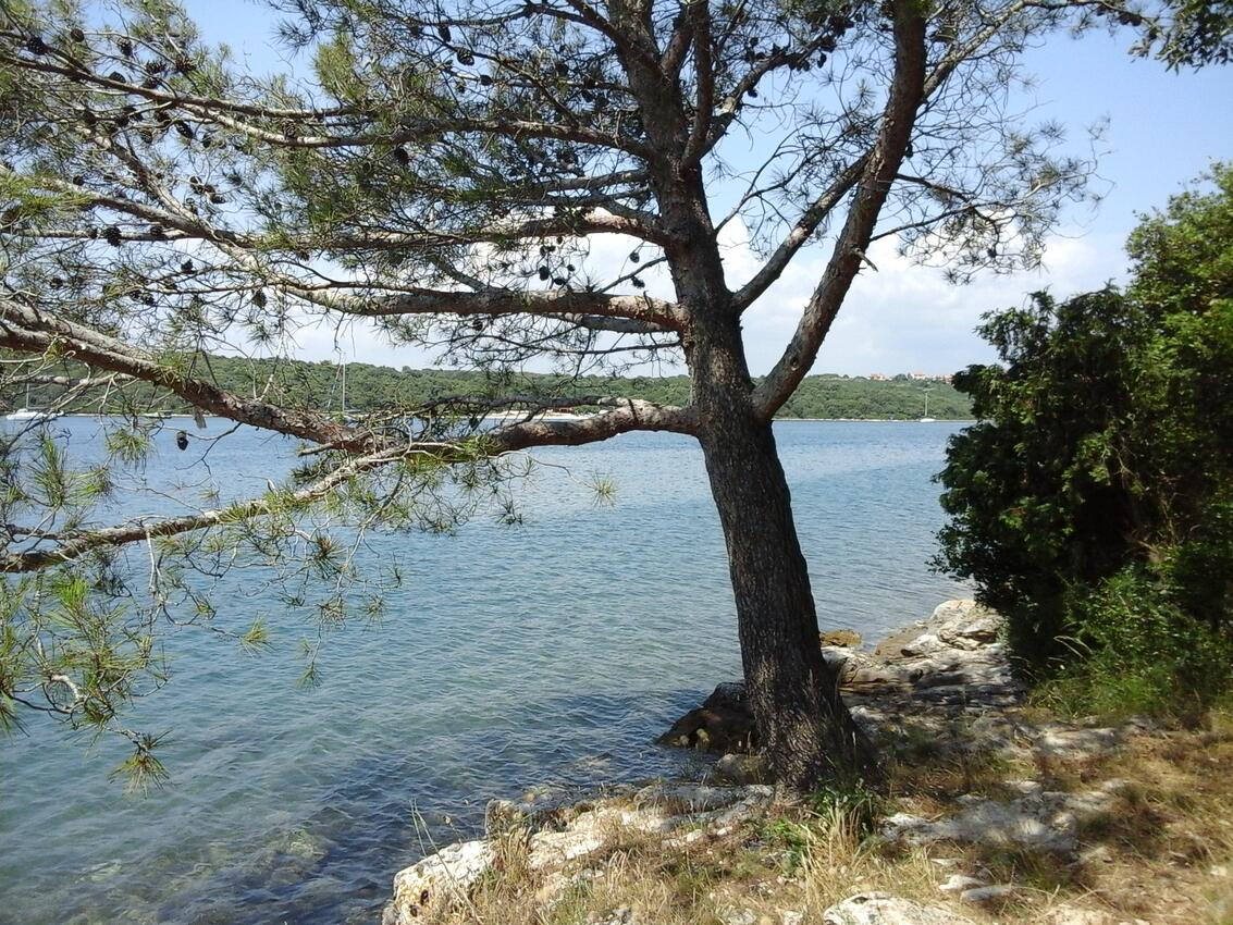 La spiaggia più vicina - Appartamenti accanto al mare Banjole, Pola - Pula