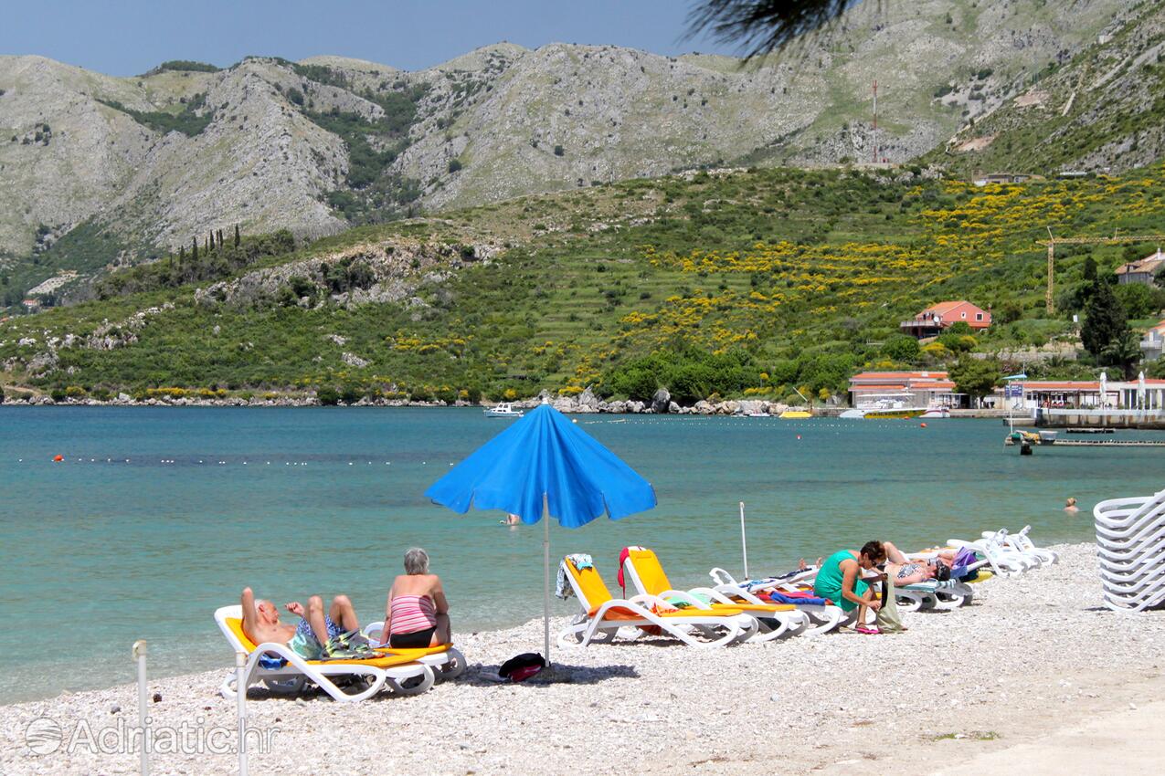 Adriatic.hr