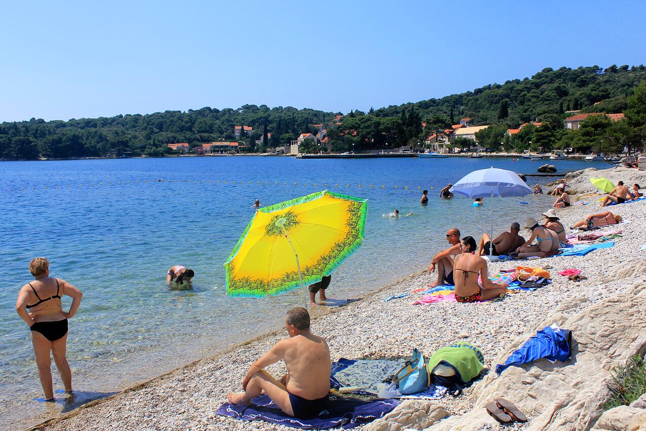 Najbliža plaža - Apartmani uz more Zaton Veliki, Dubrovnik