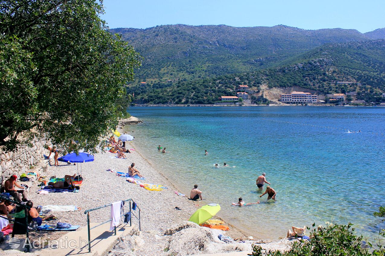 Adriatic.hr