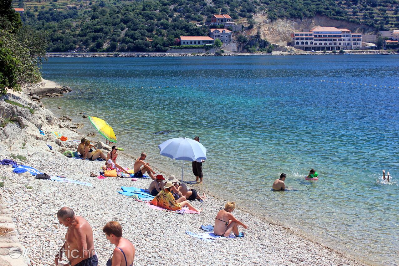 Adriatic.hr