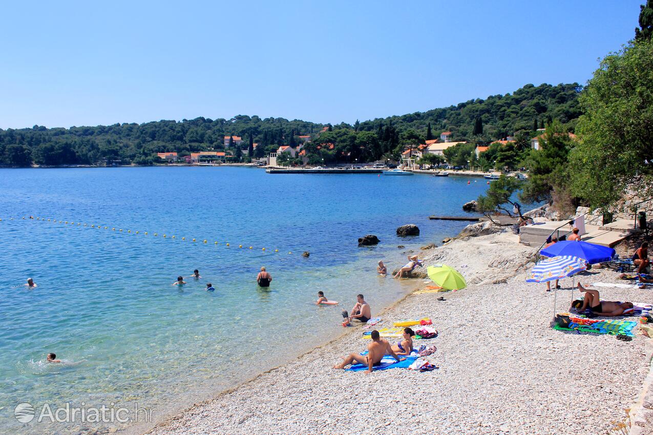 Adriatic.hr