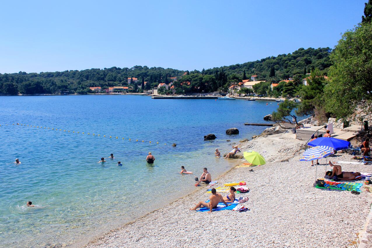 Najbliža plaža - Apartmani uz more Zaton Veliki, Dubrovnik