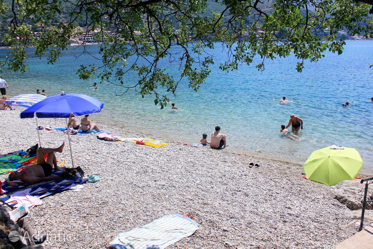 Adriatic.hr