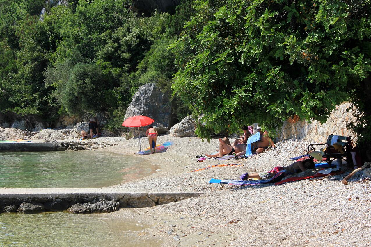 La spiaggia più vicina - Casa vacanze accanto al mare Sladenovici, Ragusa - Dubrovnik