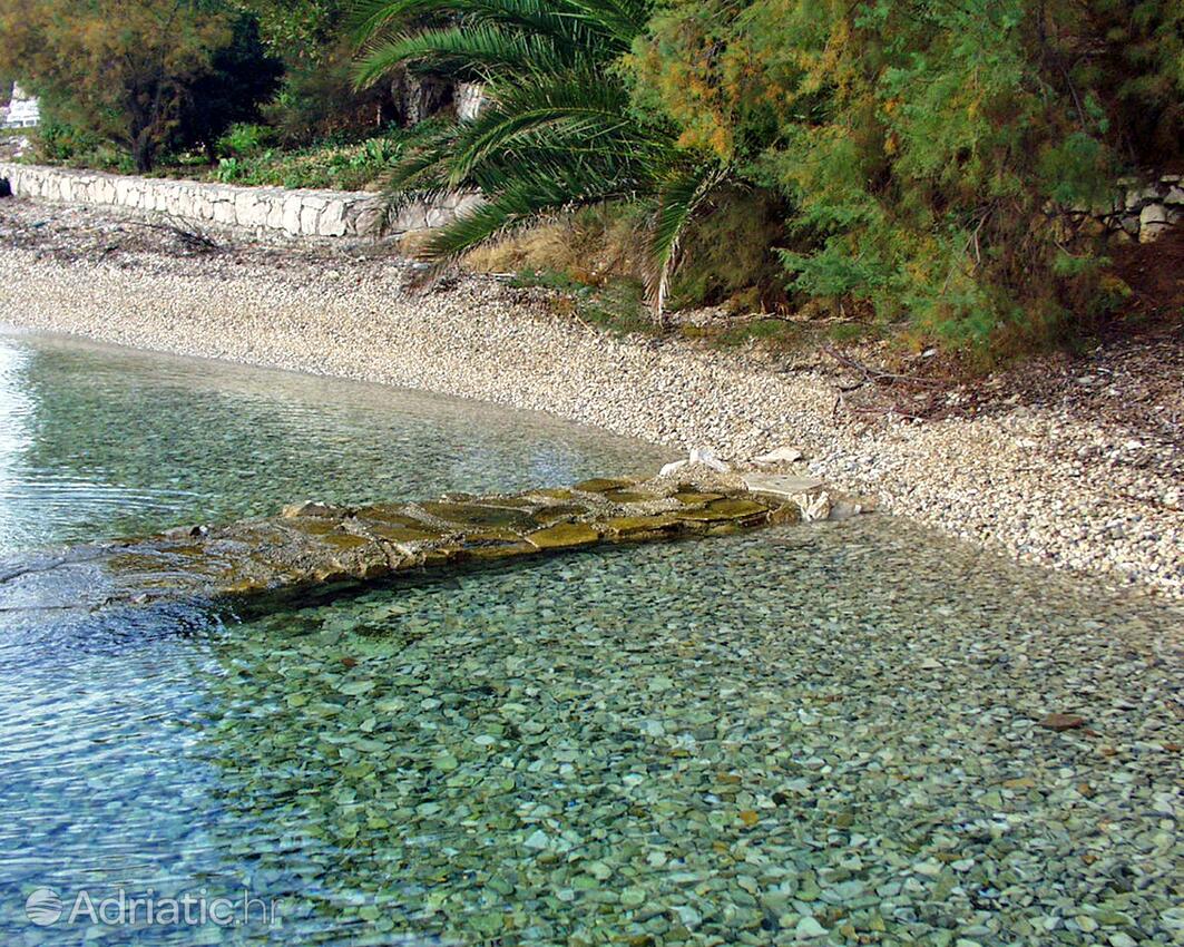 Nearest beach - Apartments by the sea Viganj, Pelješac