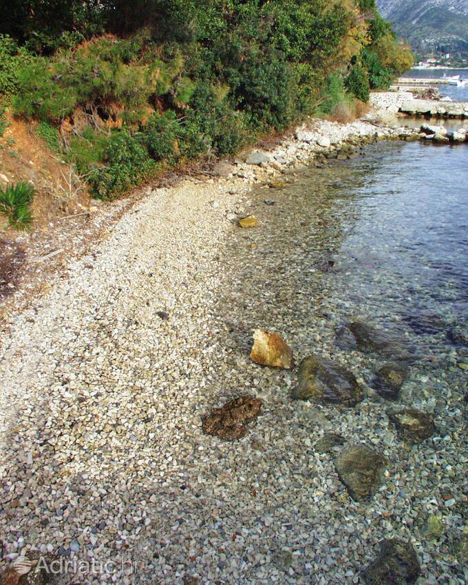 Nearest beach - Apartments by the sea Viganj, Pelješac