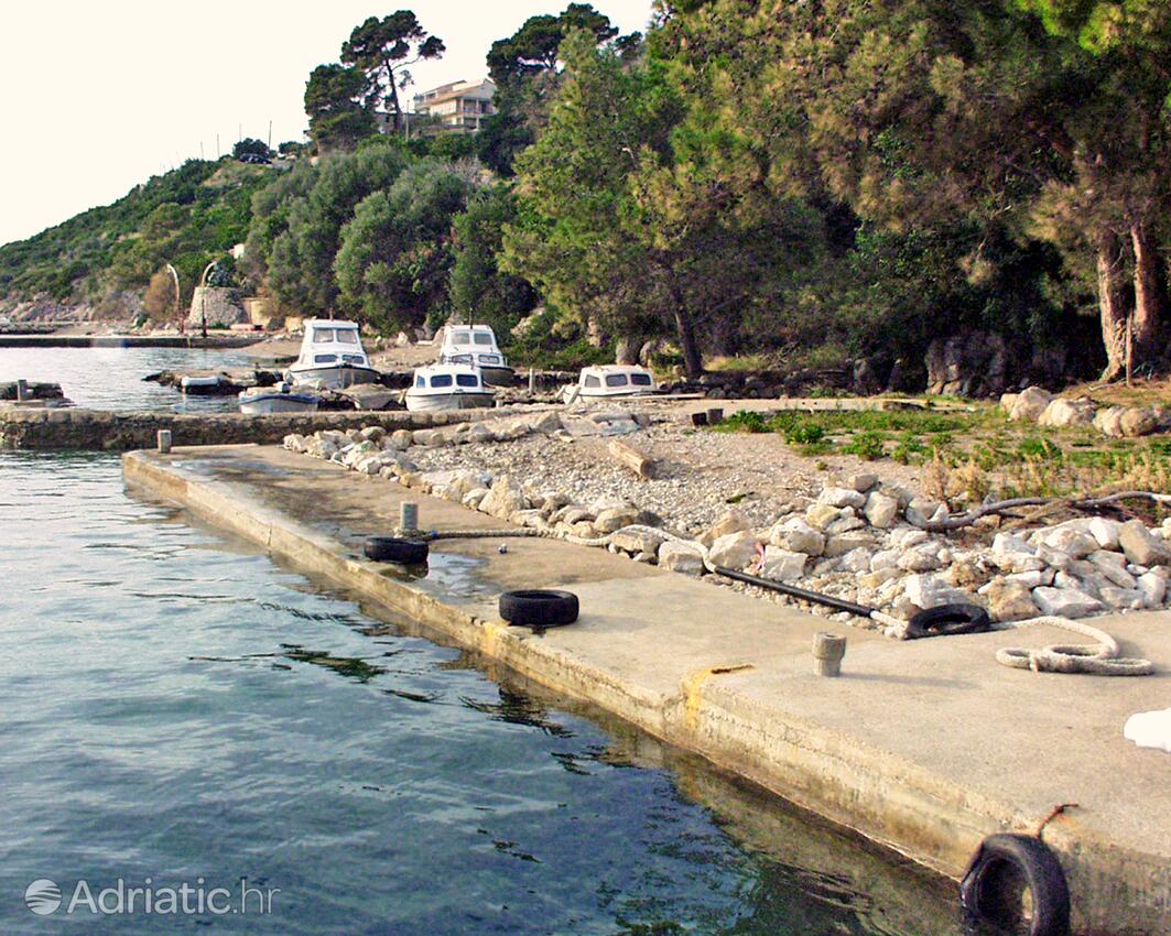 Nearest beach - Apartments by the sea Viganj, Pelješac