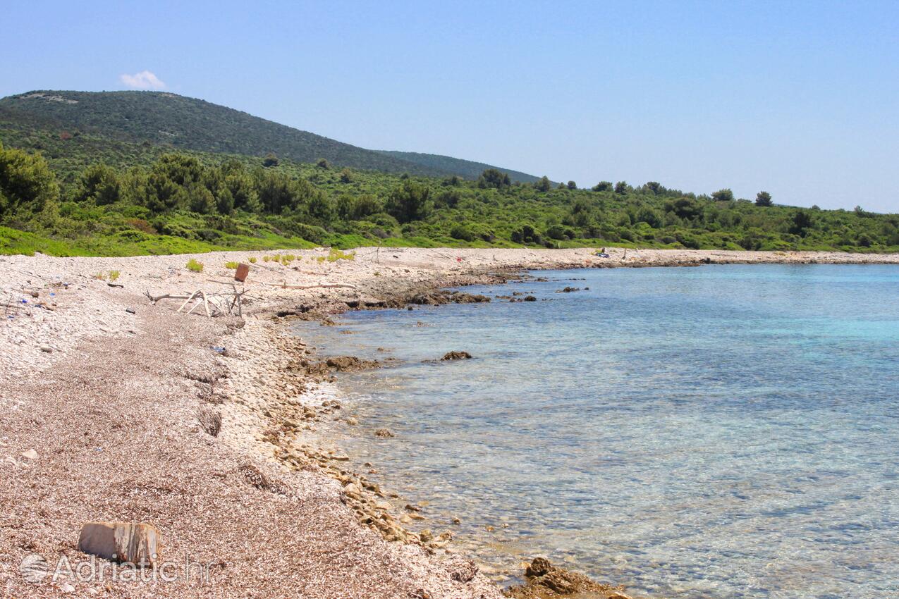 Adriatic.hr