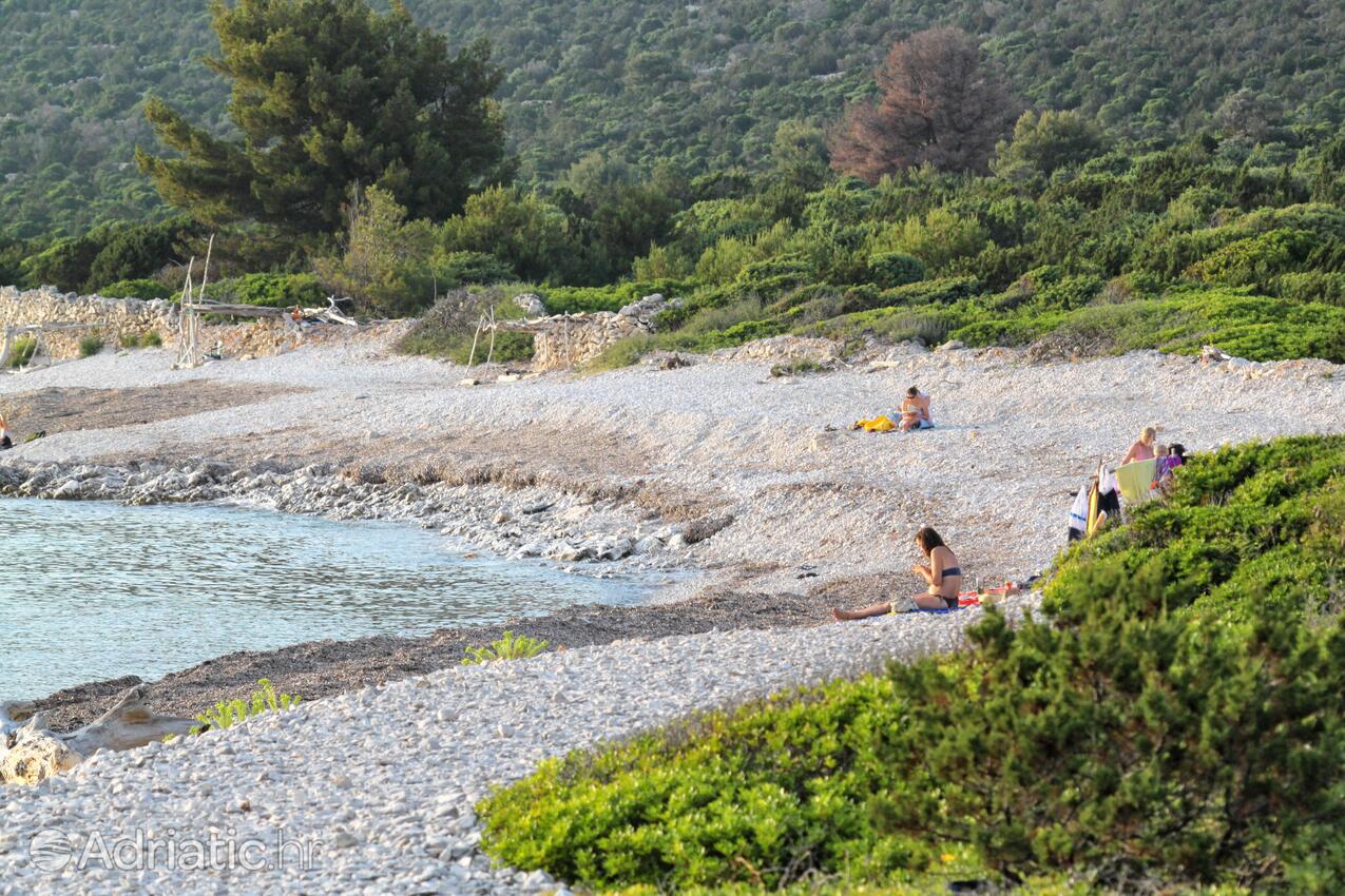 Adriatic.hr
