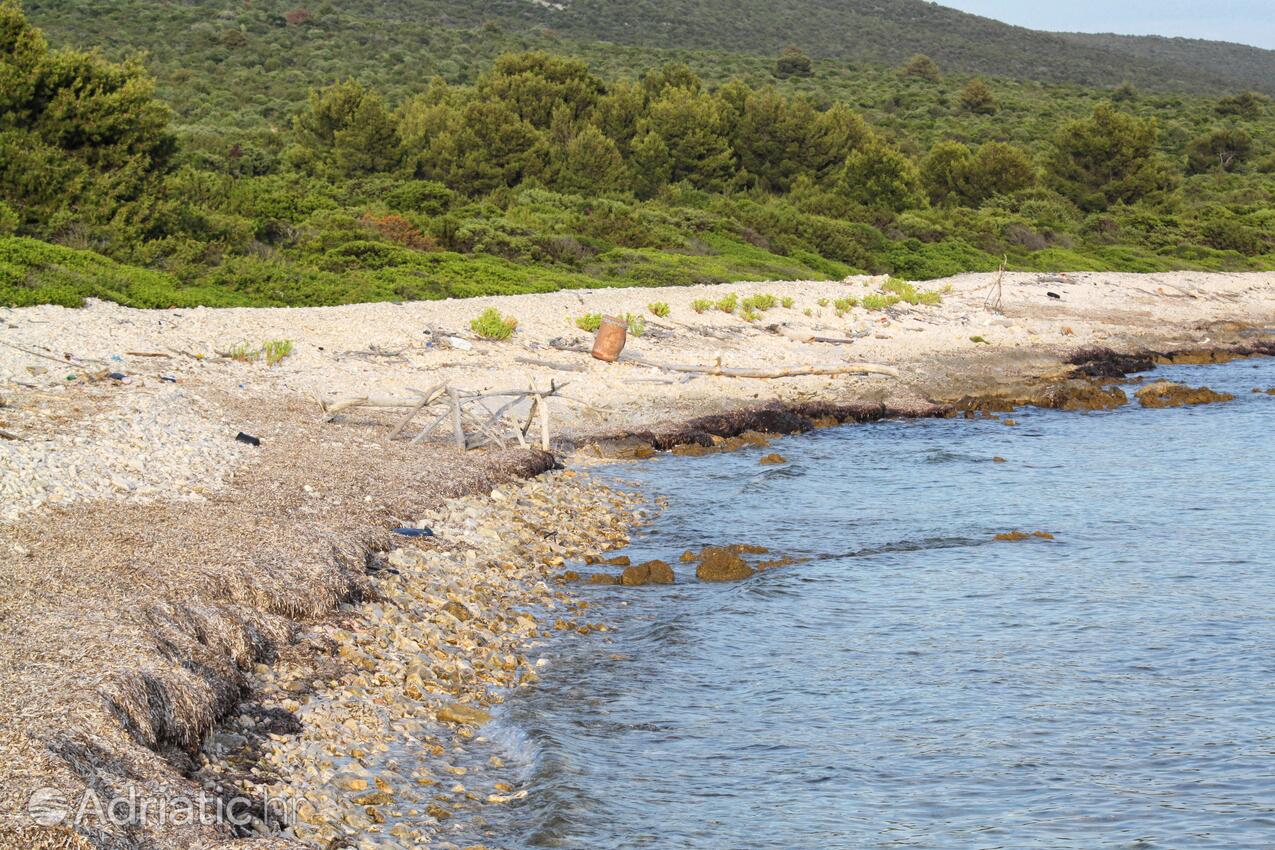 Adriatic.hr