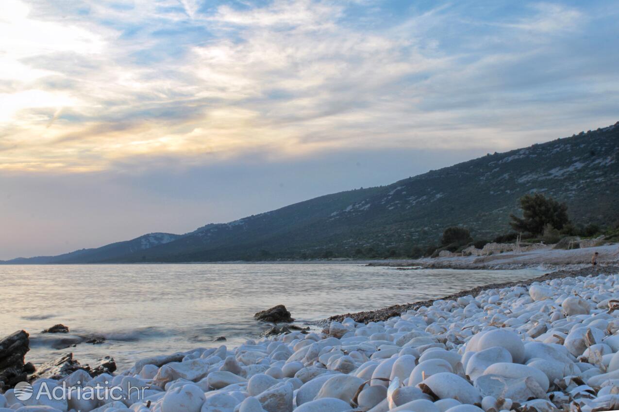 Adriatic.hr