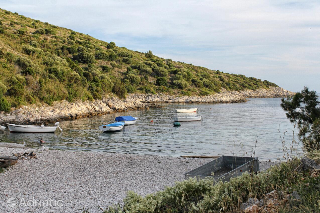 Adriatic.hr