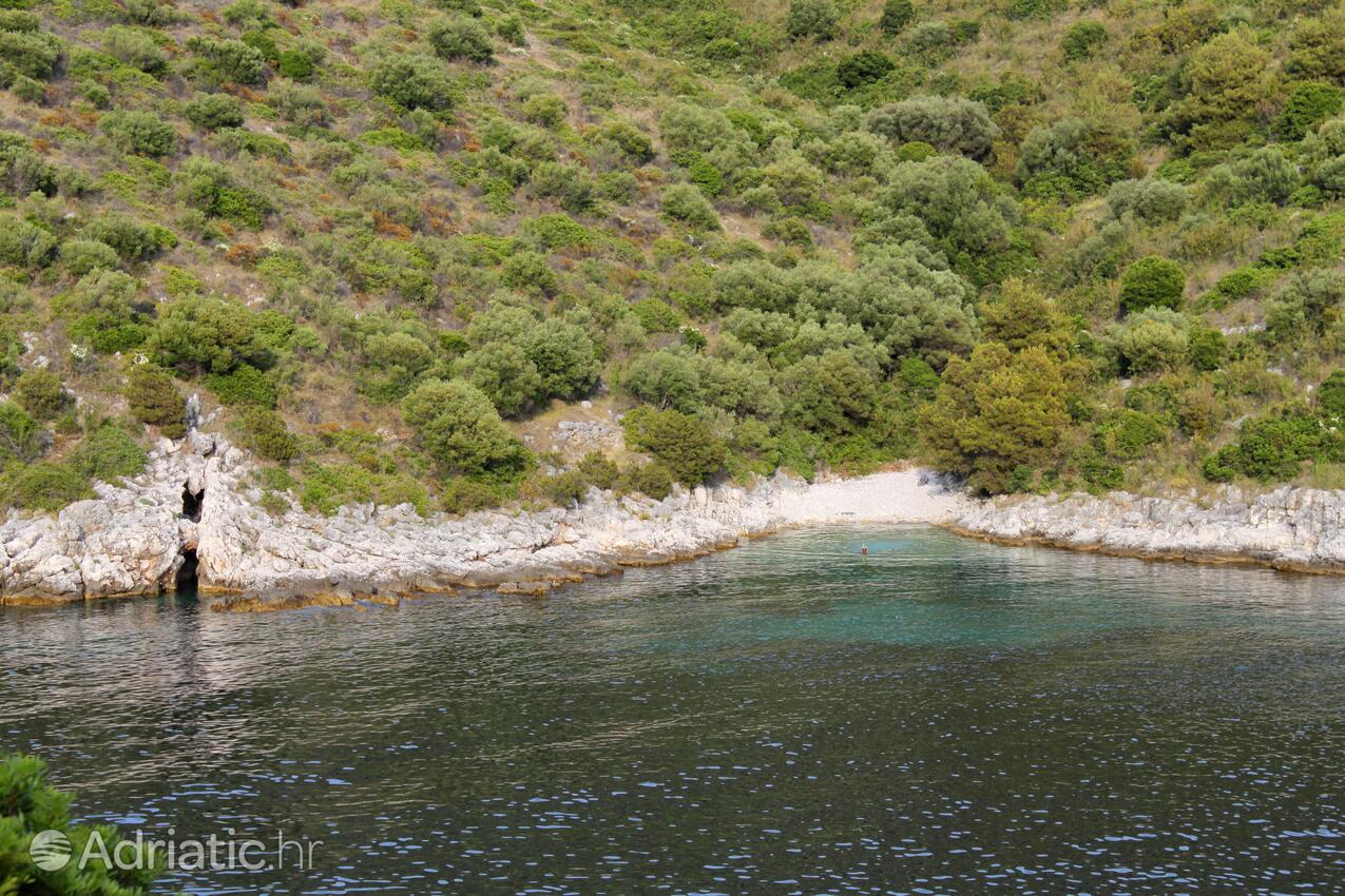 Adriatic.hr