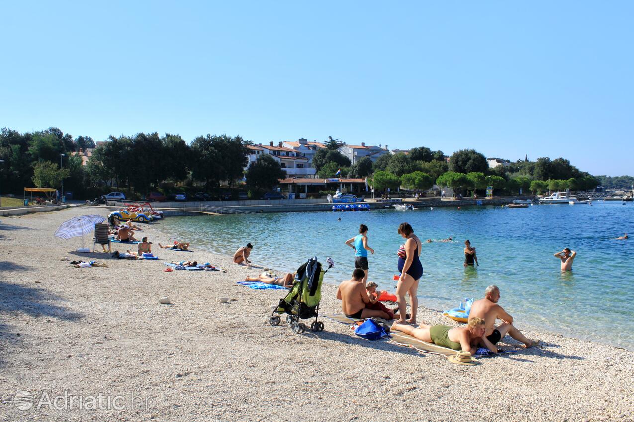 Adriatic.hr