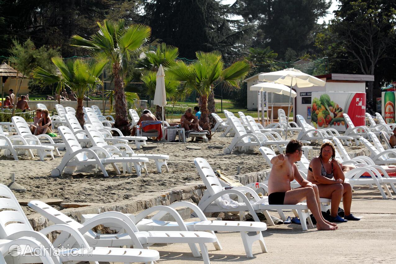 Adriatic.hr
