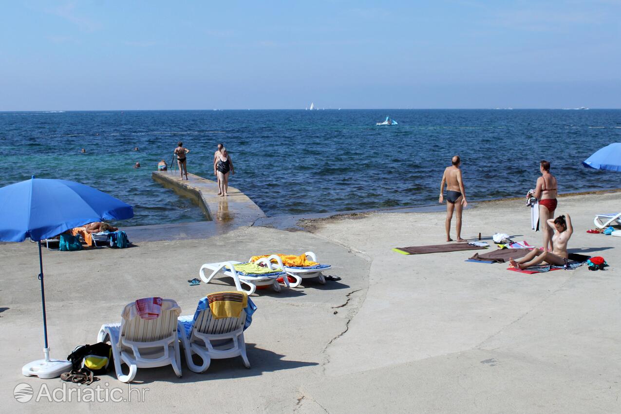 Adriatic.hr