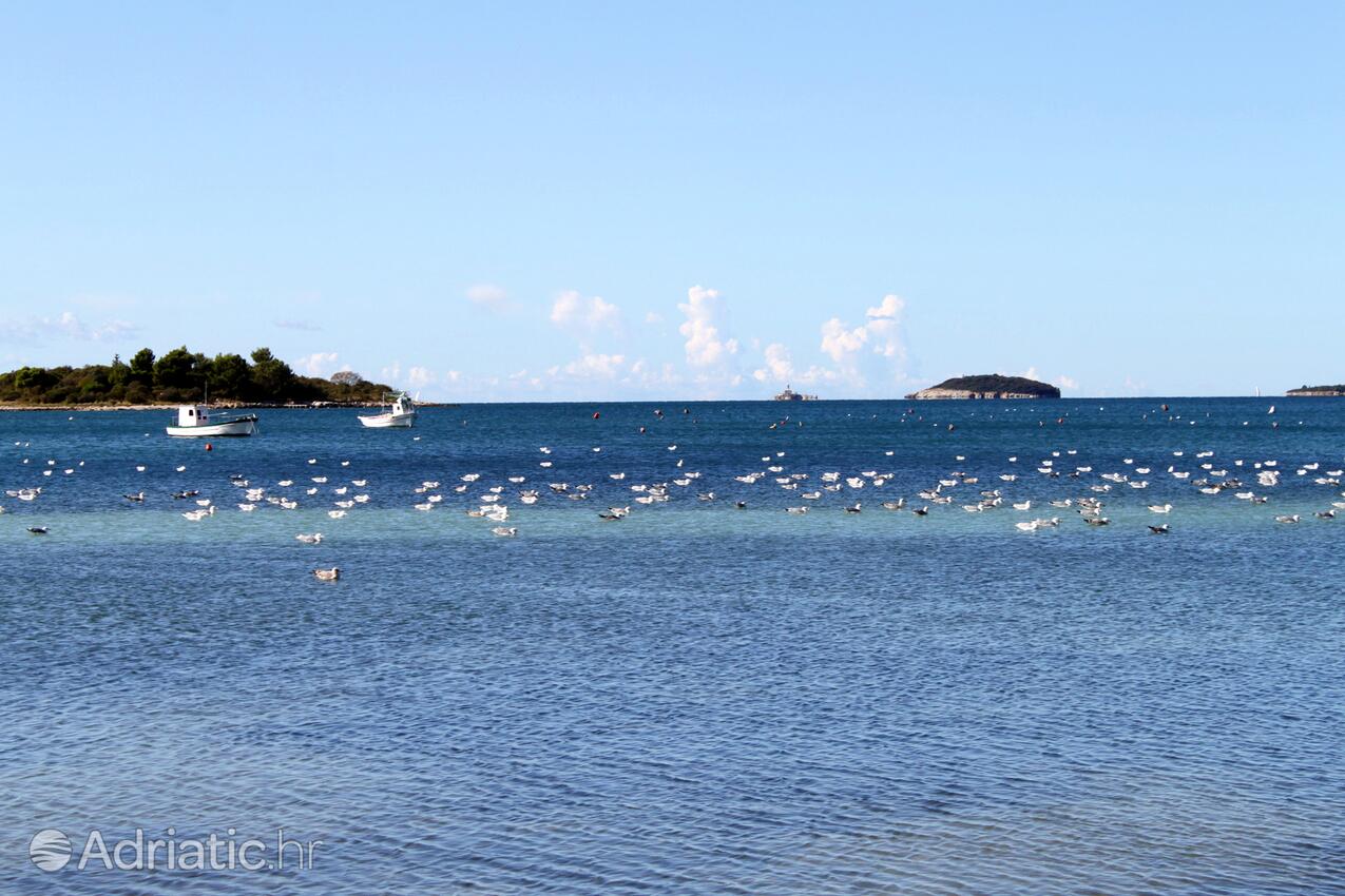 Adriatic.hr