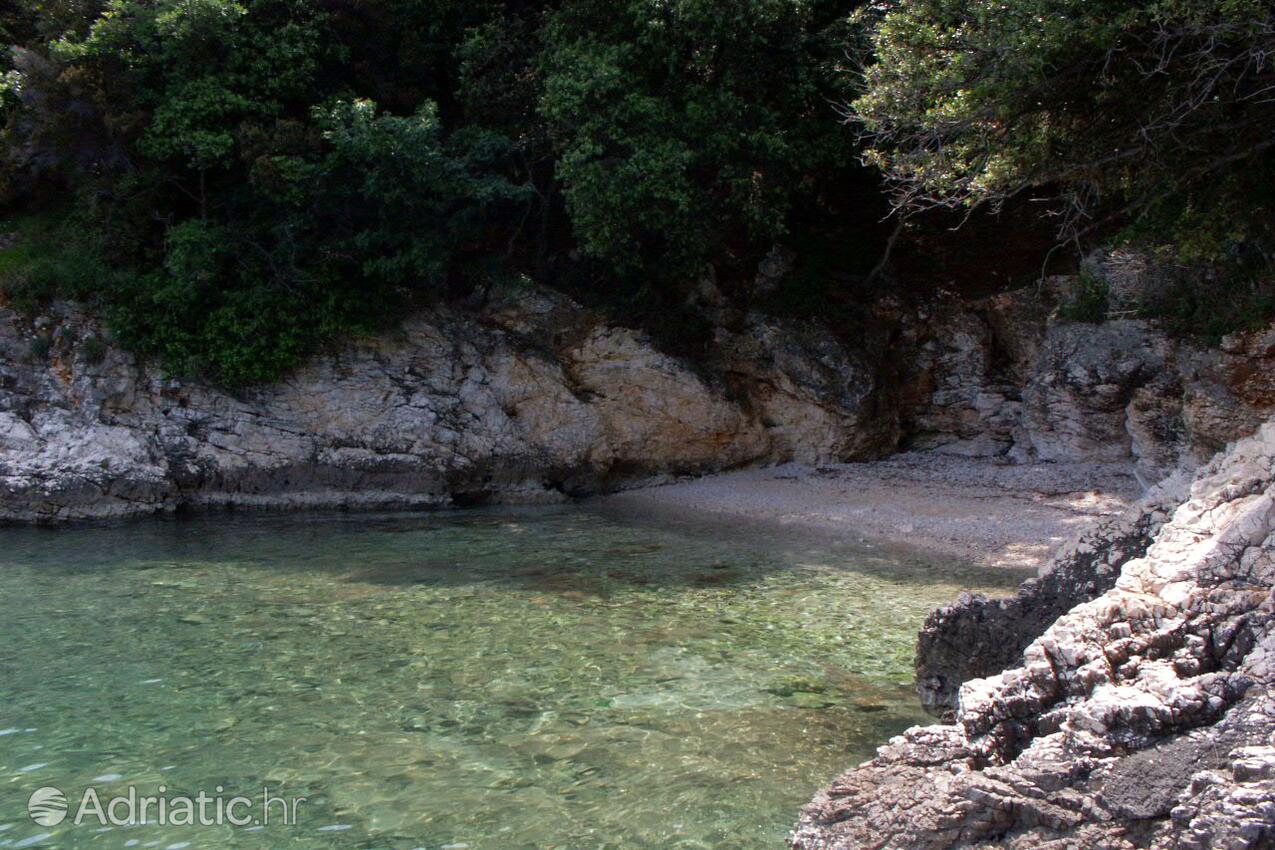 Adriatic.hr