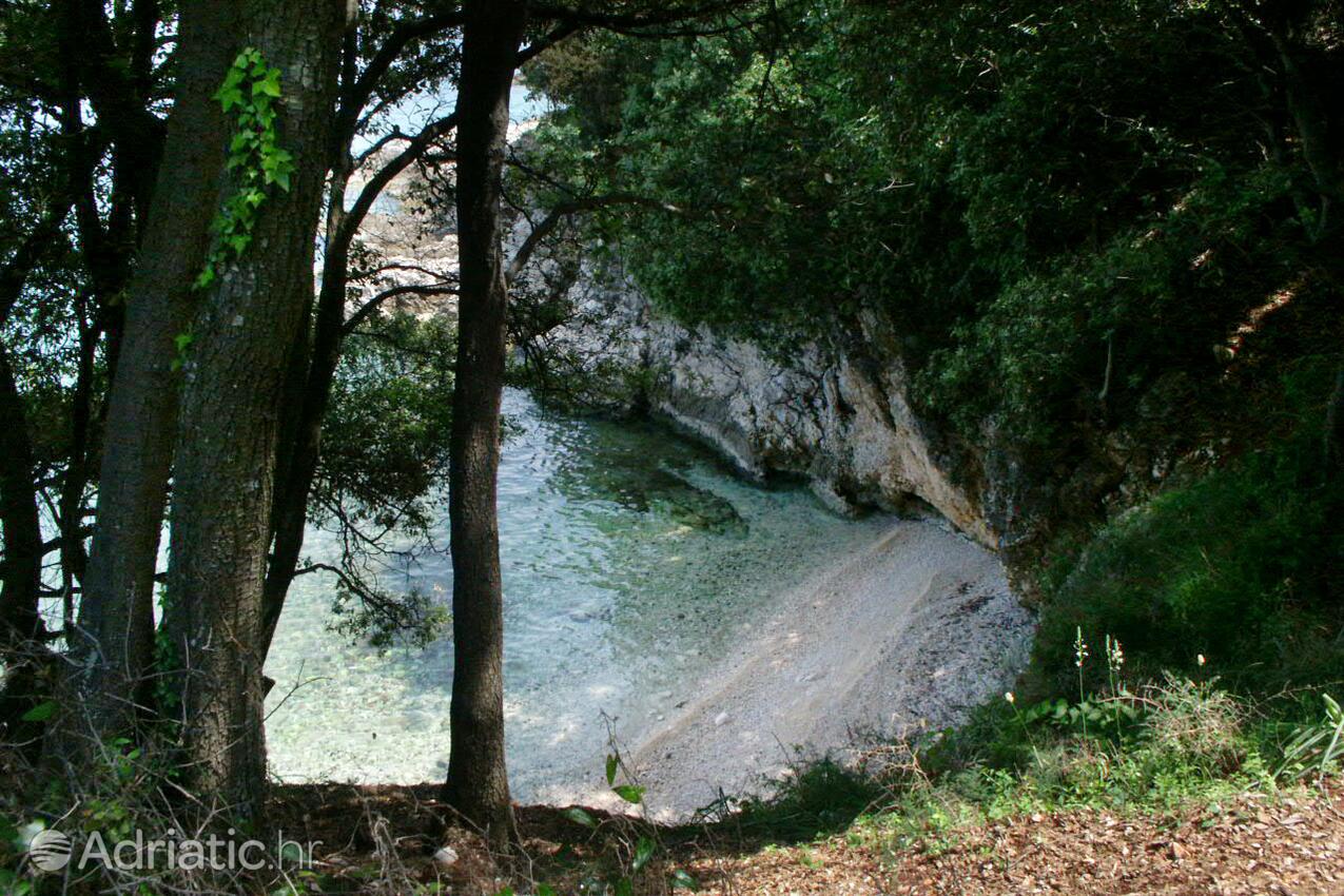 Adriatic.hr