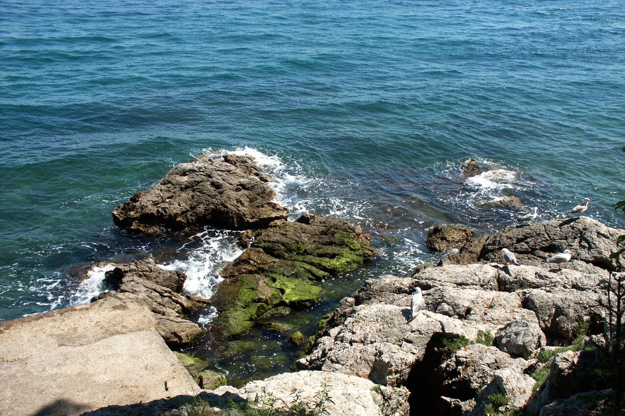 Nearest beach - Rooms with a swimming pool Lovran, Opatija