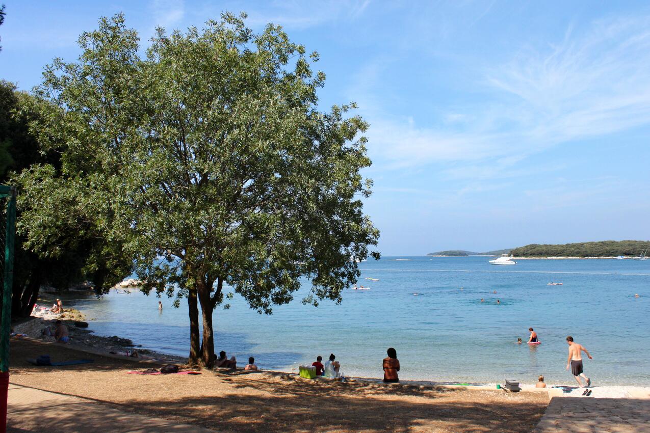 Nächster Strand - Haus mit Pool für Familien Mofardini, Sredisnja Istra