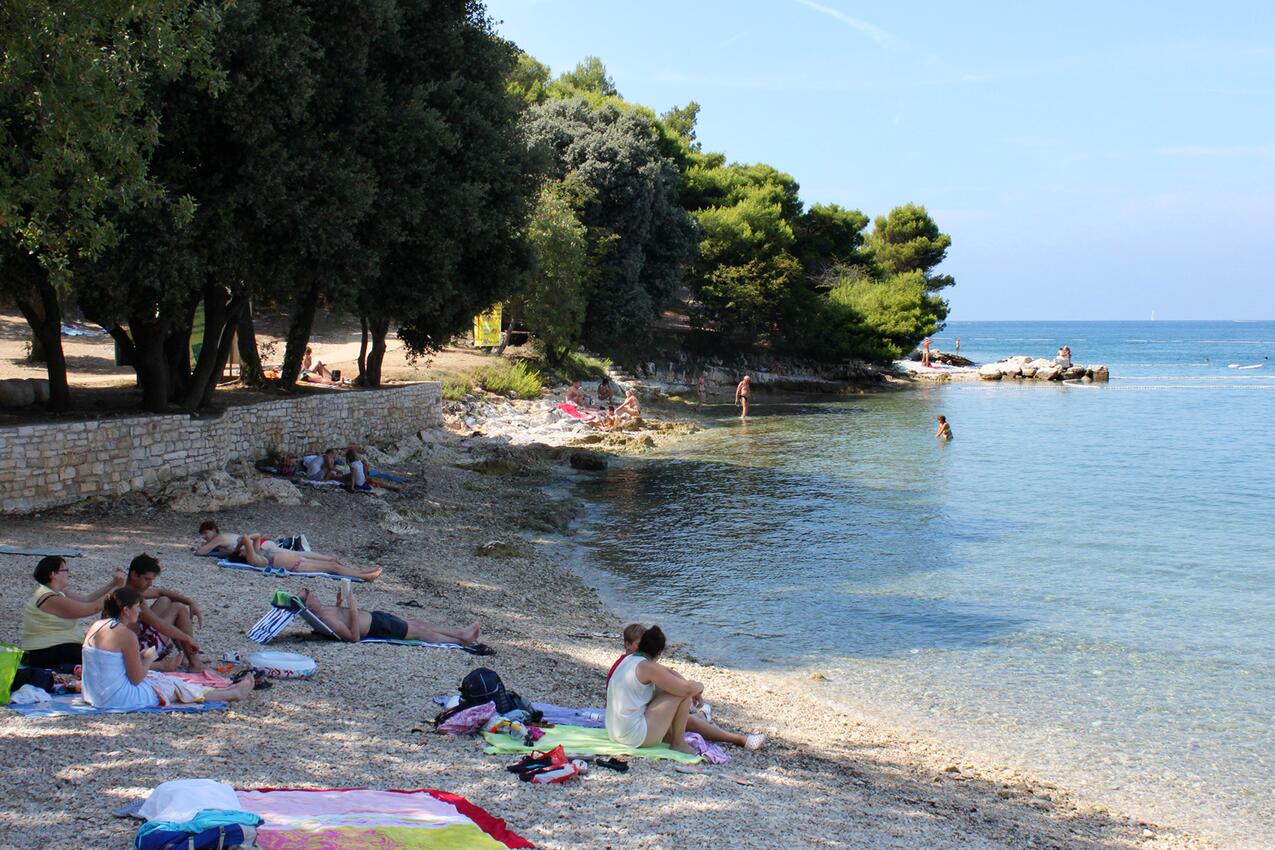 Nächster Strand - Haus mit Pool für Familien Mofardini, Sredisnja Istra