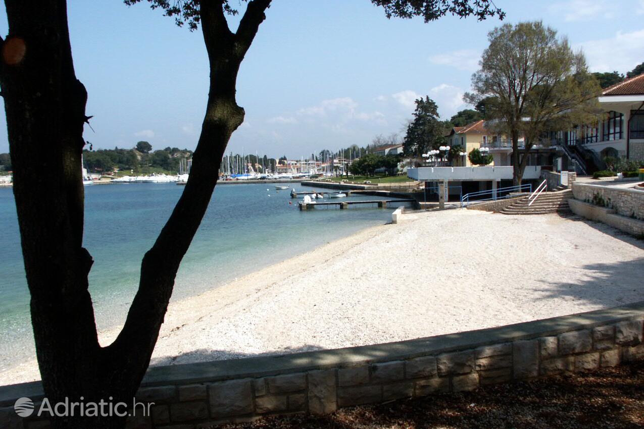 Adriatic.hr