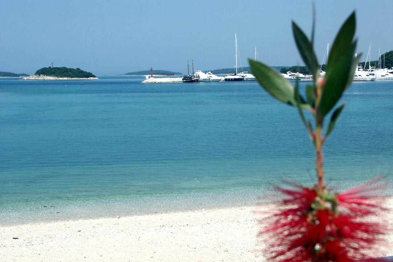Najbližja plaža - Apartmaji in sobe z internetom Vrsar, Poreč